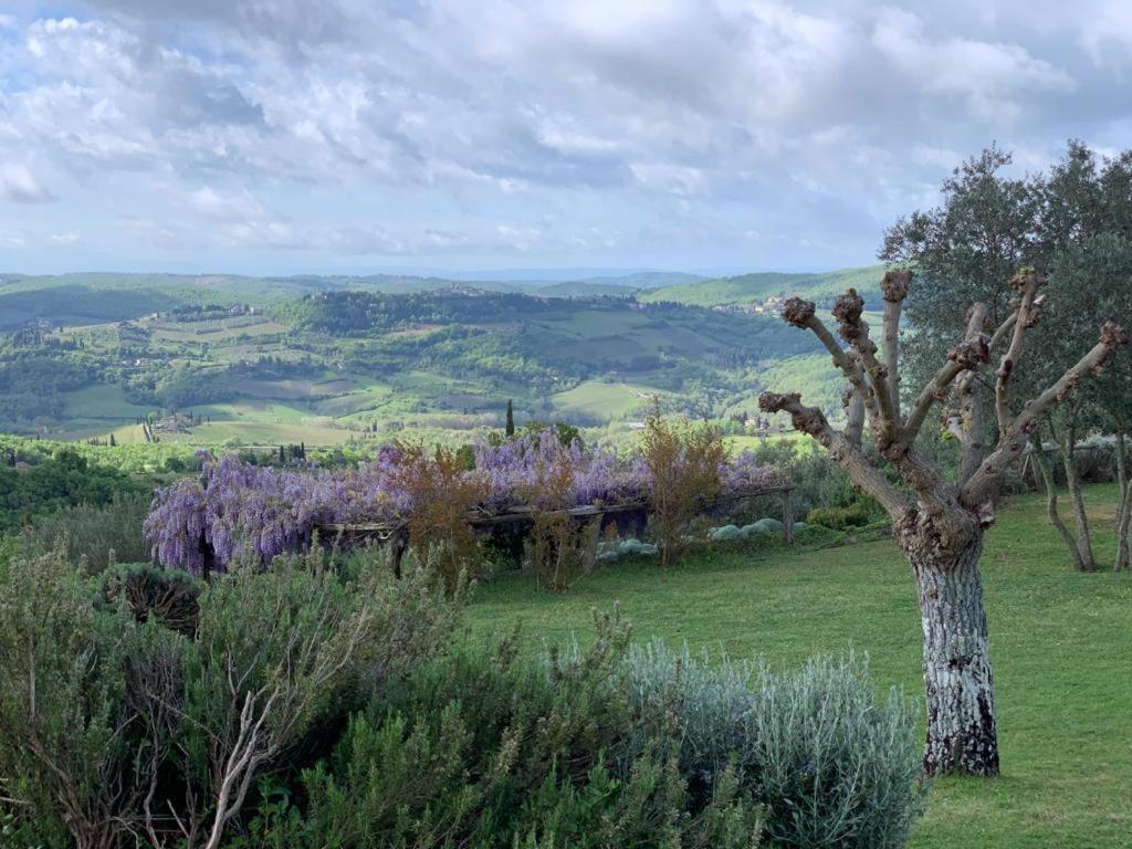 La Locanda Volpaia Радда-ін-К'янті Екстер'єр фото